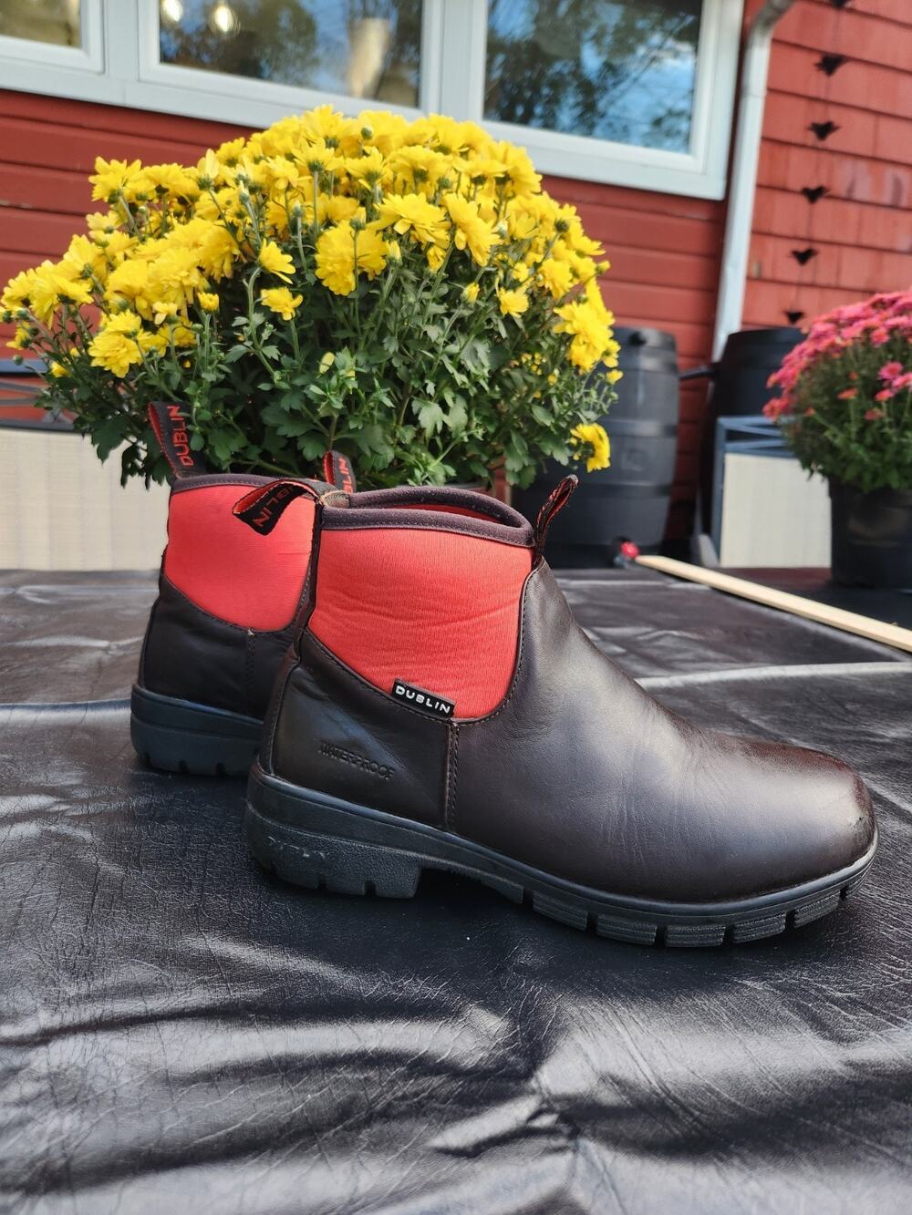 Dublin Waterproof Leather Paddock Riding Boots Women 8.5 Brown Red Equestrian